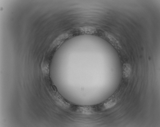 X0000083530713200702161912