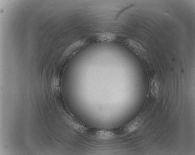 X0000083530714200702161912