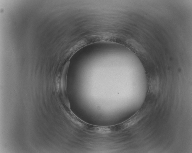 X0000083530719200702161912