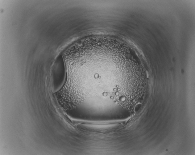 X0000083530721200702161911