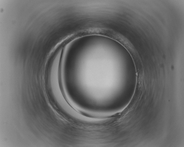 X0000083530722200702161911