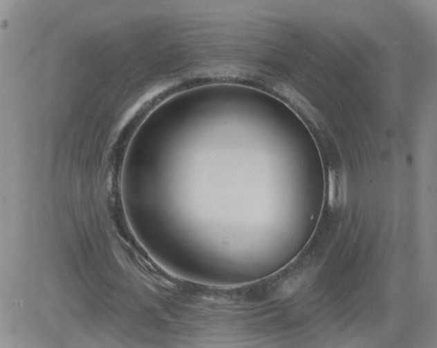 X0000083530723200702161911