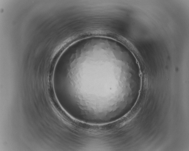 X0000083530725200702161911