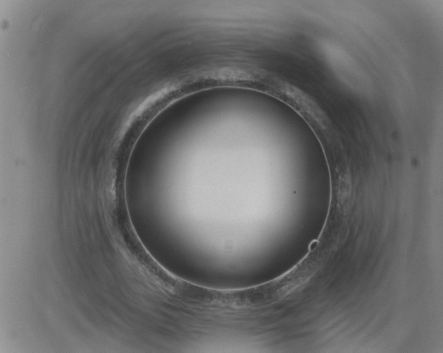 X0000083530727200702161911