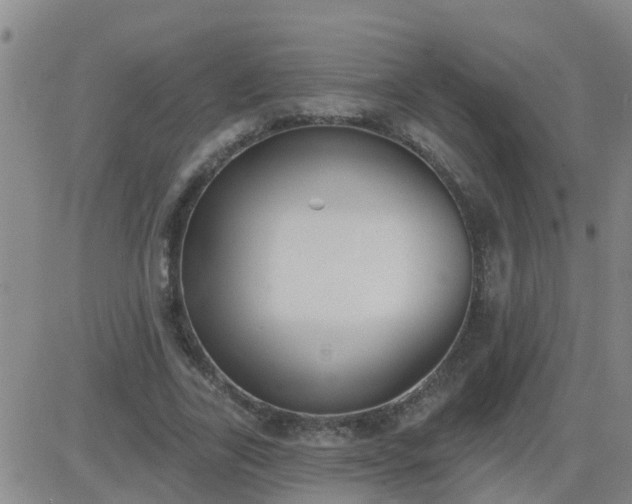 X0000083530731200702161912