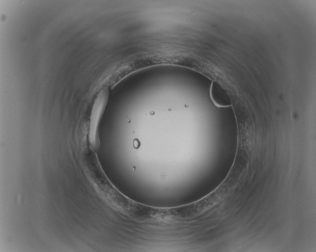 X0000083530742200702161912