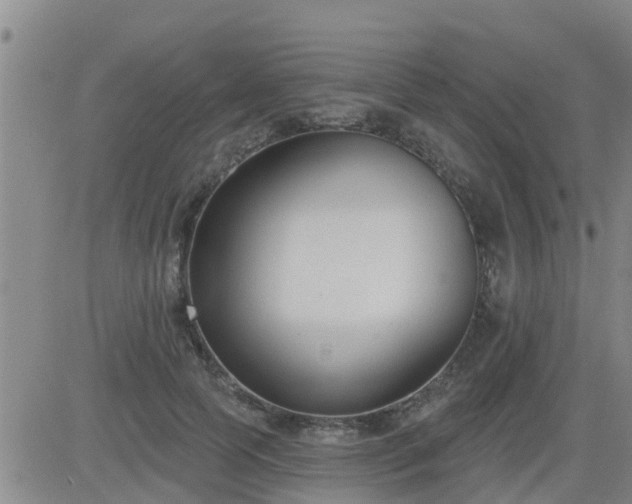 X0000083530745200702161912