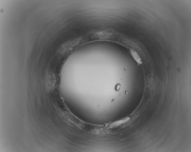 X0000083530752200702161912