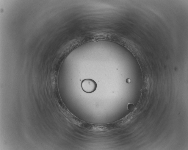 X0000083530753200702161912