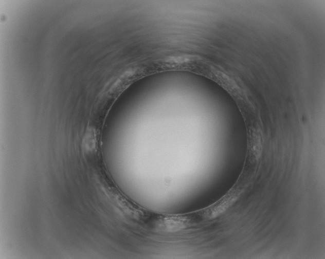 X0000083530758200702161912