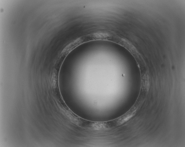 X0000083530762200702161912