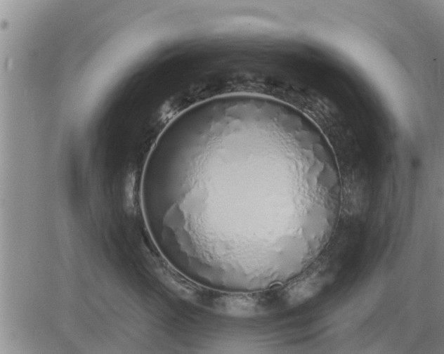 X0000083530765200702161912