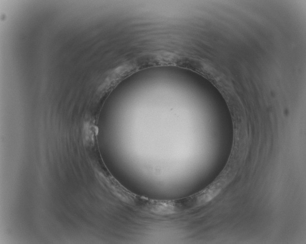 X0000083530768200702161912