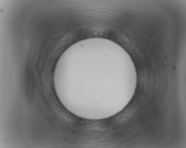 X0000083530769200702161911