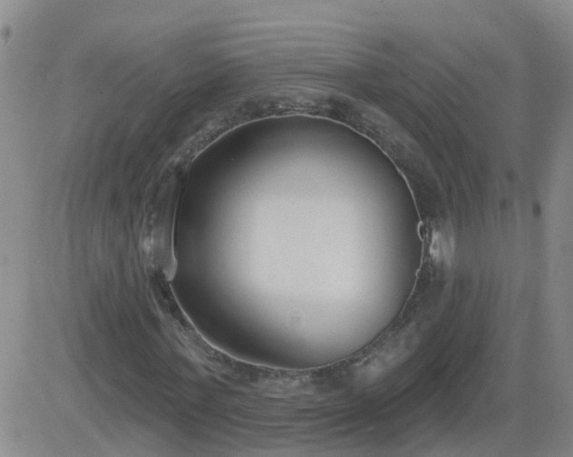 X0000083530771200702161911