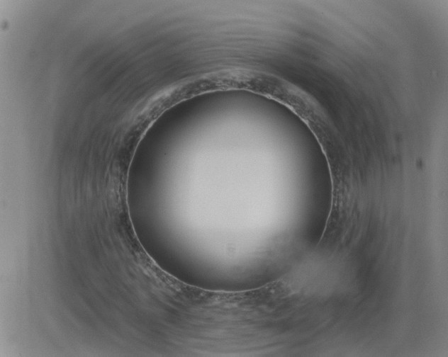 X0000083530773200702161911