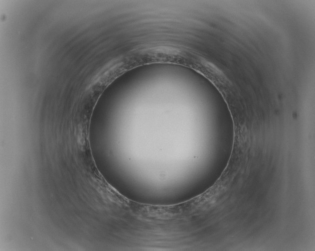 X0000083530774200702161911