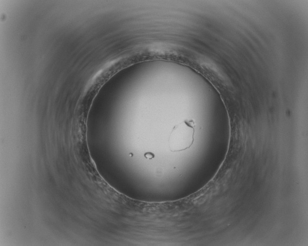 X0000083530776200702161911