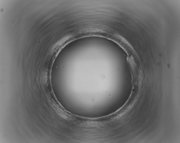 X0000083530777200702161911