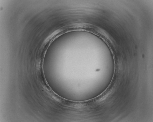 X0000083530778200702161911