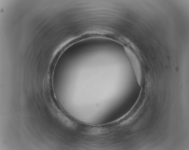 X0000083530779200702161911