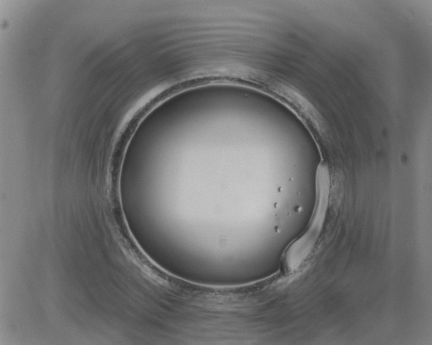 X0000083530780200702161911