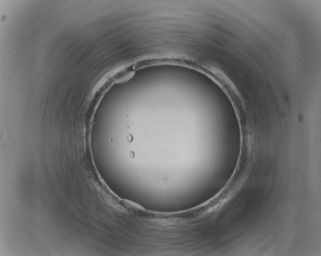 X0000083530781200702161911