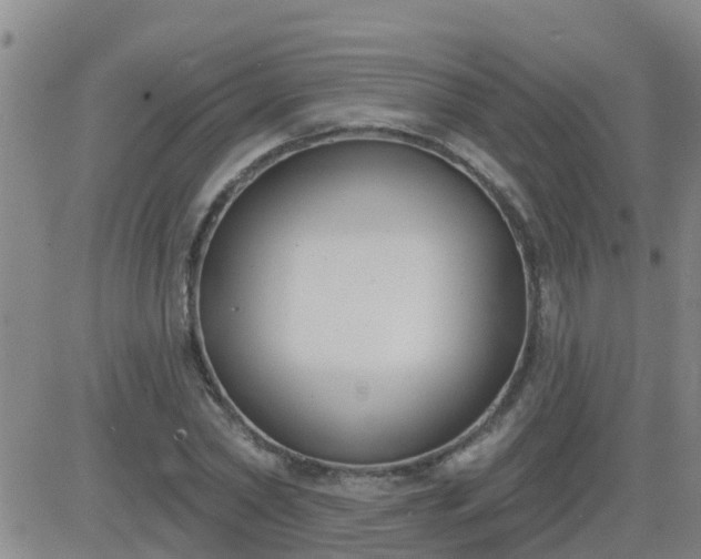 X0000083530782200702161911