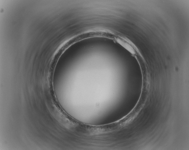 X0000083530783200702161911