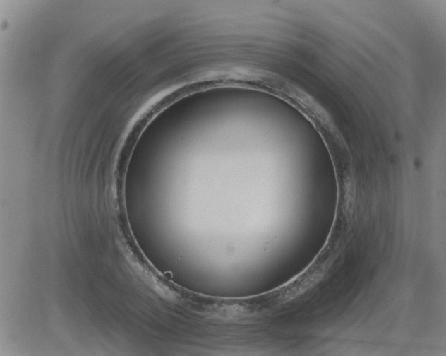 X0000083530784200702161911