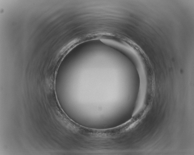 X0000083530785200702161911