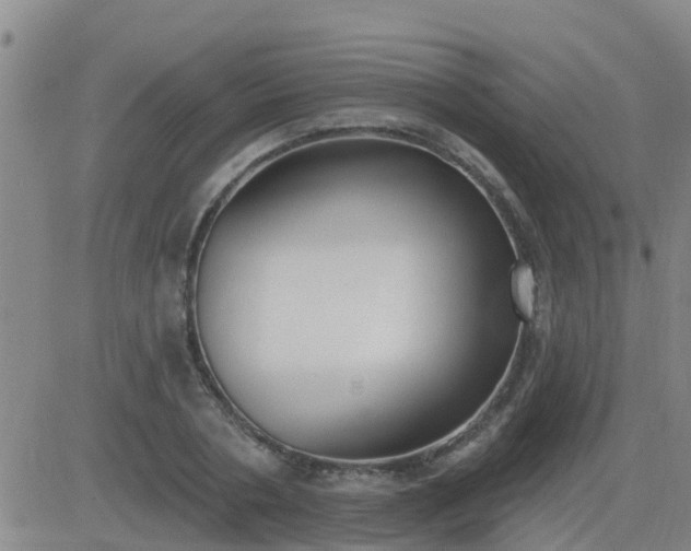 X0000083530786200702161911