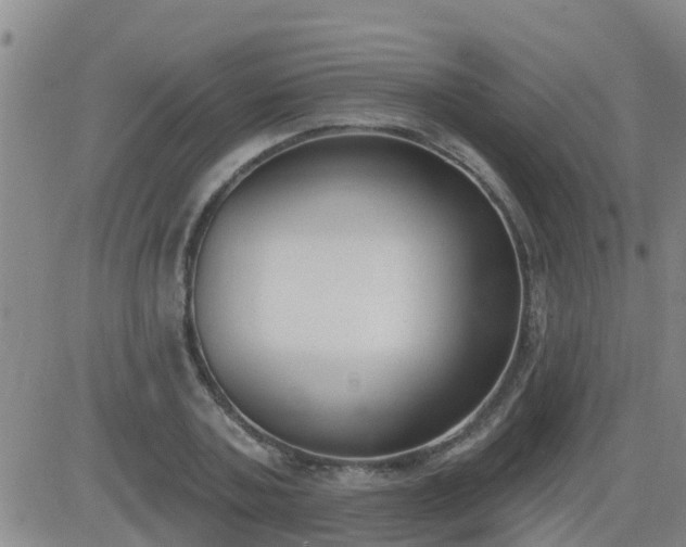 X0000083530787200702161911