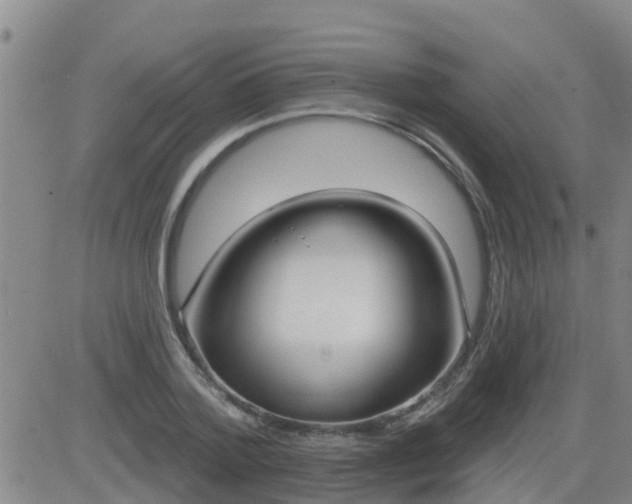 X0000083530788200702161911