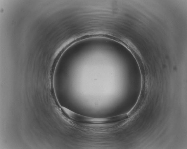 X0000083530789200702161911