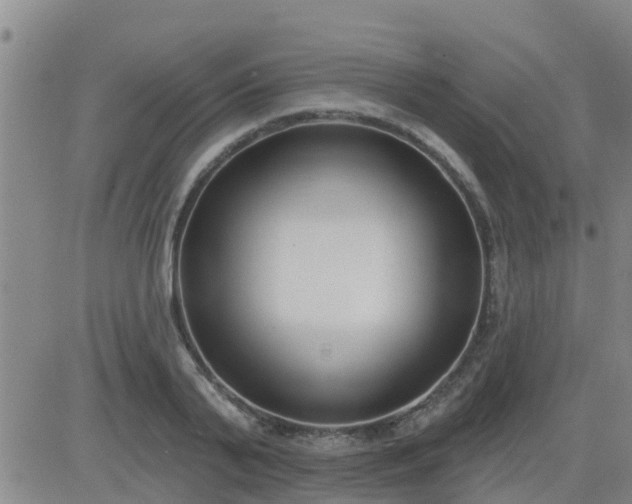 X0000083530791200702161911