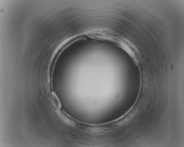 X0000083530792200702161911