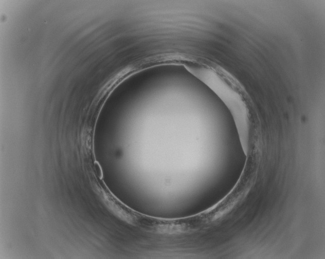 X0000083530793200702161911