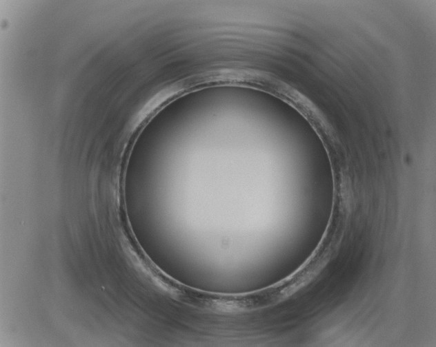 X0000083530794200702161911