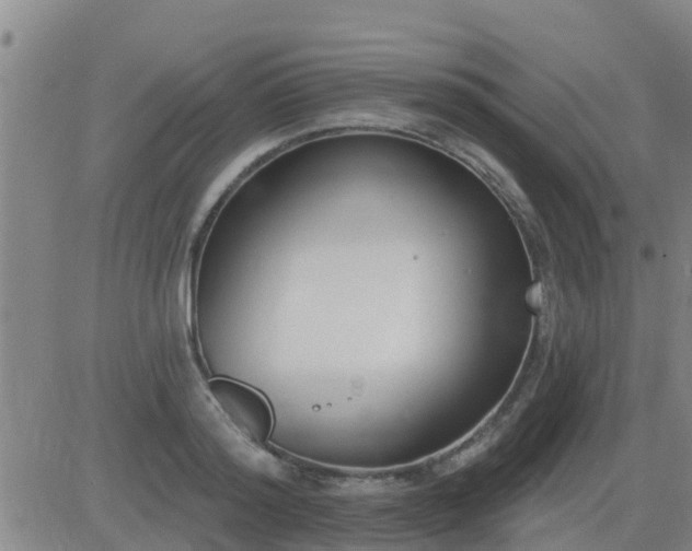 X0000083530796200702161911