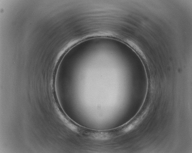 X0000083530797200702161911