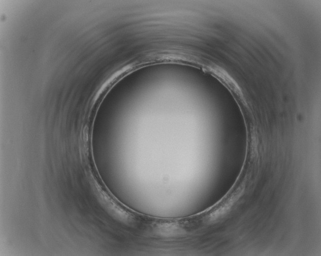 X0000083530798200702161911