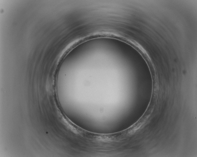 X0000083530799200702161911