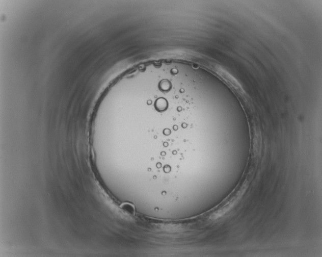 X0000083530800200702161911