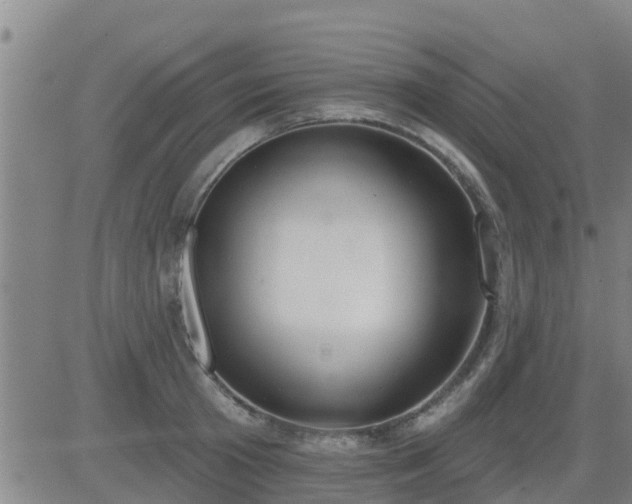 X0000083530801200702161911