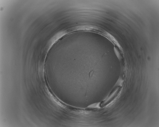 X0000083530802200702161911