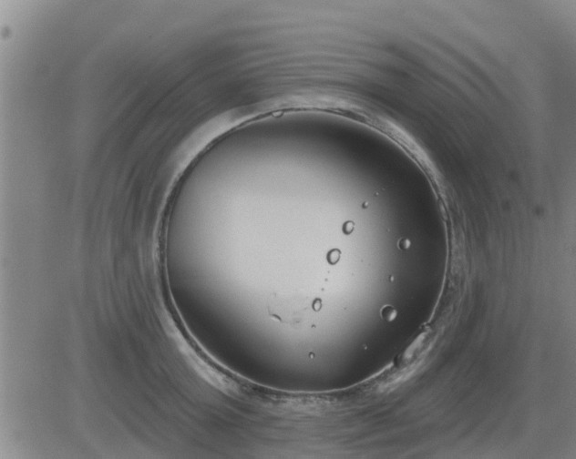 X0000083530803200702161911