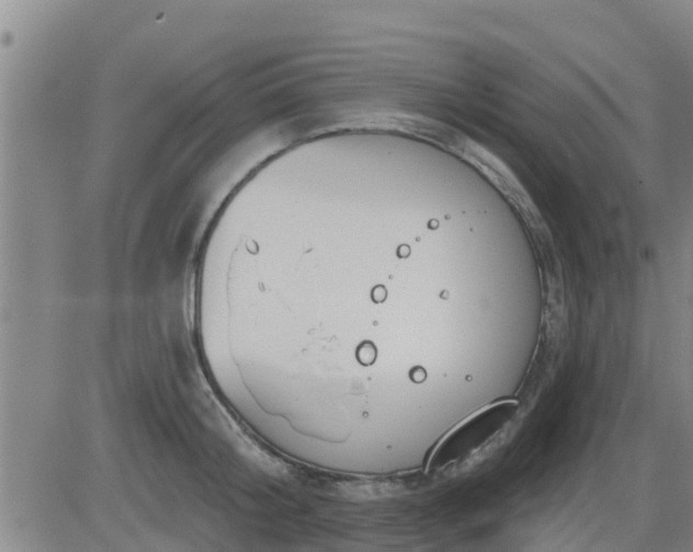 X0000083530804200702161911