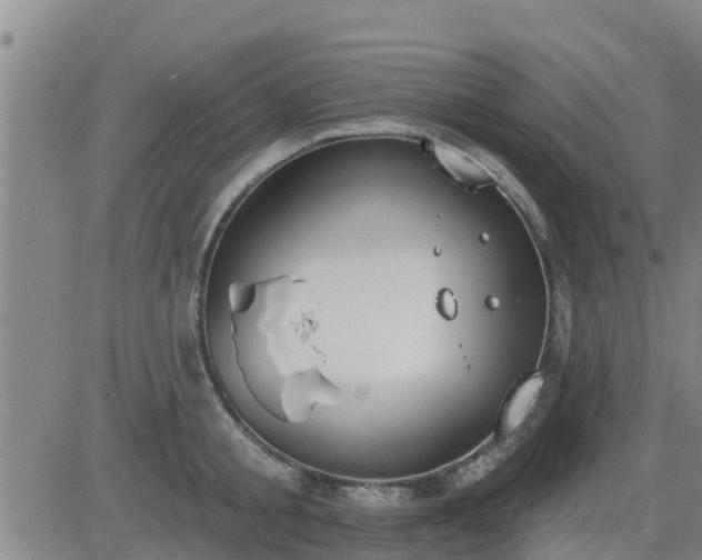 X0000083530805200702161911