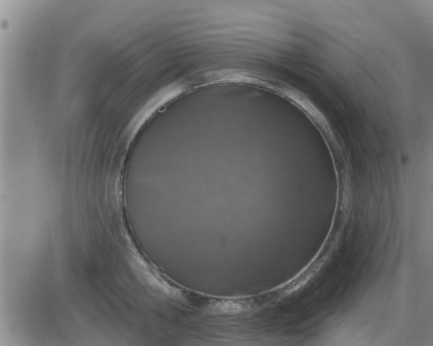 X0000083530806200702161911